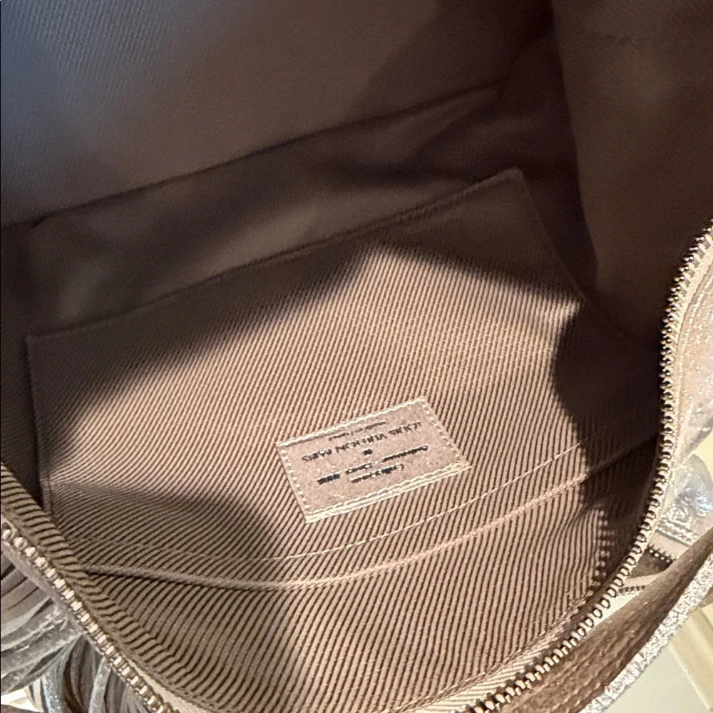 Louis Vuitton Metallic Silver Hobo Bag - Picture 8 of 13